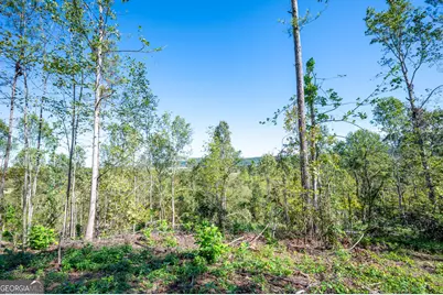 3793 Hwy 140 NE, Rydal, GA 30171 - Photo 22