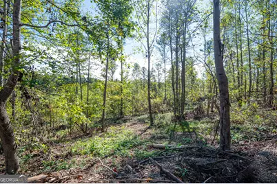 3793 Hwy 140 NE, Rydal, GA 30171 - Photo 24