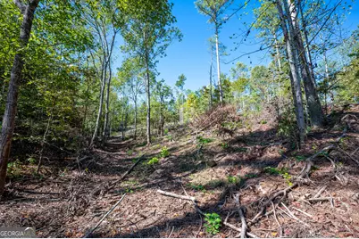3793 Hwy 140 NE, Rydal, GA 30171 - Photo 20