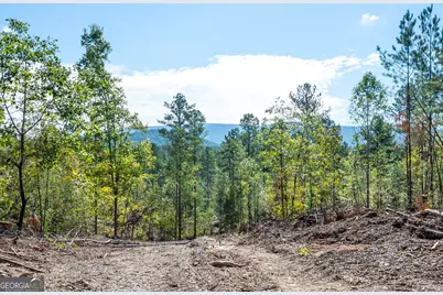 3793 Hwy 140 NE, Rydal, GA 30171 - Photo 14