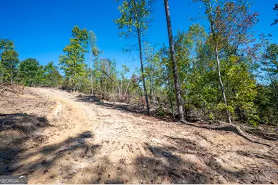3793 Hwy 140 NE, Rydal, GA 30171 - Photo 10