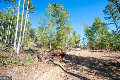 3793 Hwy 140 NE, Rydal, GA 30171 - Photo 8