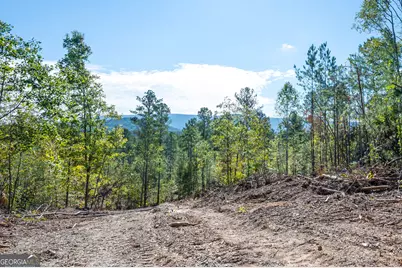 3793 Hwy 140 NE, Rydal, GA 30171 - Photo 12