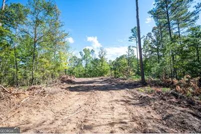 3809 Hwy 140 NE, Rydal, GA 30171 - Photo 10