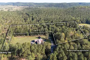 3809 Hwy 140 NE, Rydal, GA 30171 - Photo 1