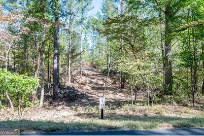 3809 Hwy 140 NE, Rydal, GA 30171 - Photo 2