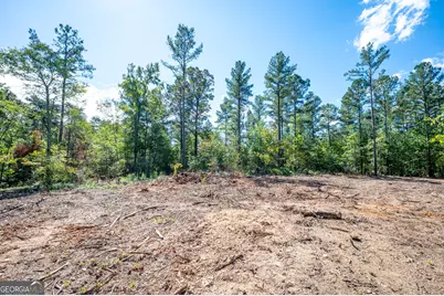 3809 Hwy 140 NE, Rydal, GA 30171 - Photo 12