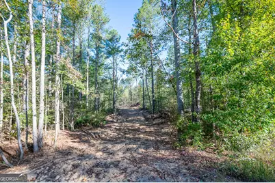 3859 Hwy 140 NE, Rydal, GA 30171 - Photo 2