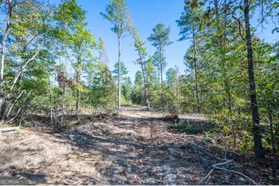 3863 Hwy 140 NE, Rydal, GA 30171 - Photo 2