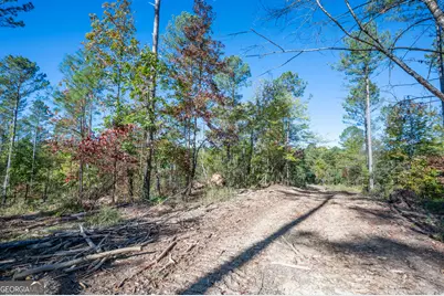 3863 Hwy 140 NE, Rydal, GA 30171 - Photo 8