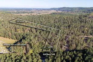 3863 Hwy 140 NE, Rydal, GA 30171 - Photo 1