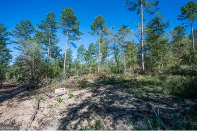 3867 Hwy 140 NE, Rydal, GA 30171 - Photo 4