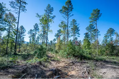 3867 Hwy 140 NE, Rydal, GA 30171 - Photo 10