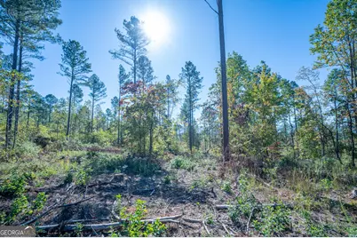 3871 Hwy 140 NE, Rydal, GA 30171 - Photo 8