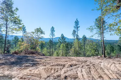 3883 Hwy 140 NE, Rydal, GA 30171 - Photo 4