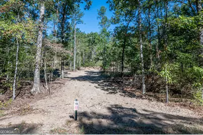 3887 Hwy 140 NE, Rydal, GA 30171 - Photo 16