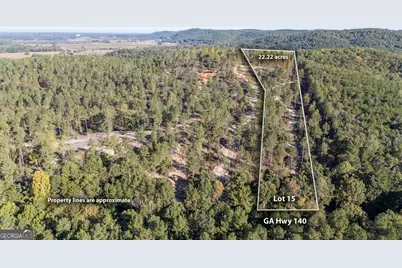 3887 Hwy 140 NE, Rydal, GA 30171 - Photo 1