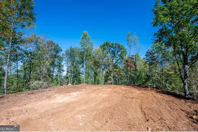 3887 Hwy 140 NE, Rydal, GA 30171 - Photo 8