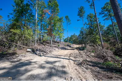 3887 Hwy 140 NE, Rydal, GA 30171 - Photo 12