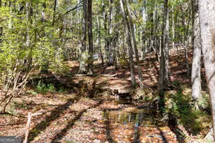 6535 Ridgeway Rd, Franklin, GA 30217 - Photo 38