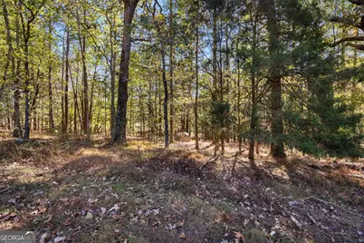 6535 Ridgeway Road, Franklin, GA 30217 - Photo 40