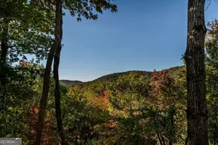 357 Sky Line Dr, Cherry Log, GA 30522 - Photo 54