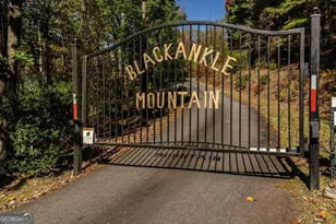 357 Sky Line Dr, Cherry Log, GA 30522 - Photo 4