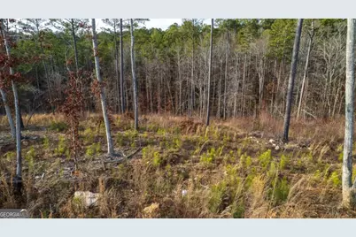 Lot 177 Shallow Water Way, Talking Rock, GA 30175 - Photo 8