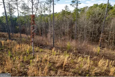 Lot 177 Shallow Water Way, Talking Rock, GA 30175 - Photo 22