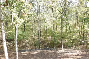 2614 Carolina Ct, Bethlehem, GA 30620 - Photo 38