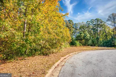 120 Hidden Falls Court, Rutledge, GA 30663 - Photo 10