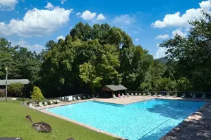 1225 Walnut Ridge, Ellijay, GA 30536 - Photo 66