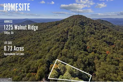 1225 Walnut Ridge, Ellijay, GA 30536 - Photo 64