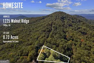 1225 Walnut Ridge, Ellijay, GA 30536 - Photo 64