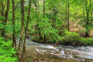 1225 Walnut Ridge, Ellijay, GA 30536 - Photo 82