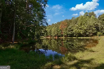 1225 Walnut Ridge, Ellijay, GA 30536 - Photo 72