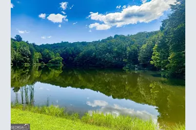 1225 Walnut Ridge, Ellijay, GA 30536 - Photo 74