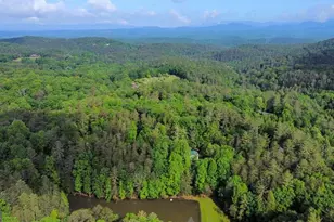 1225 Walnut Ridge, Ellijay, GA 30536 - Photo 80