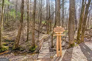 1225 Walnut Ridge, Ellijay, GA 30536 - Photo 68