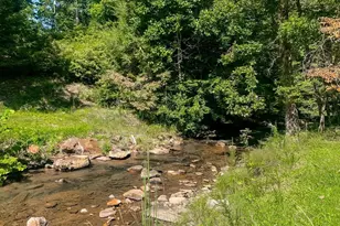 1225 Walnut Ridge, Ellijay, GA 30536 - Photo 82