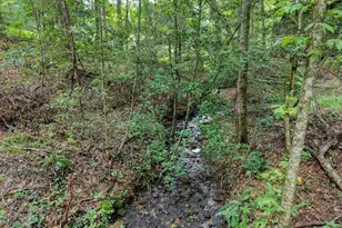 2479 Plum Orchard Rd, Clayton, GA 30525 - Photo 4