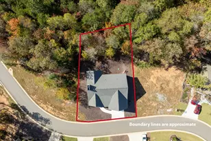 113 Smt Vw Ln, Ellijay, GA 30540 - Photo 50