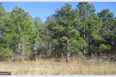 0 Mathews Road, Roberta, GA 31078 - Photo 2