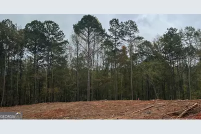 Lot 29 Mossy Oak Court #29, Newnan, GA 30263 - Photo 1