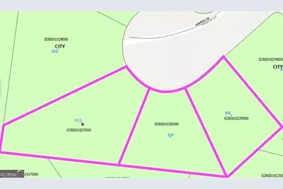 805 Abarca Lane, Stockbridge, GA 30281 - Photo 10