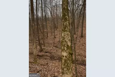 0 Sutton Road, Talking Rock, GA 30175 - Photo 10