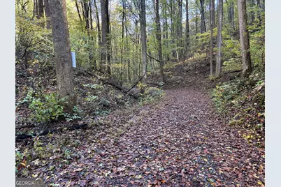 0 Sutton Road, Talking Rock, GA 30175 - Photo 2