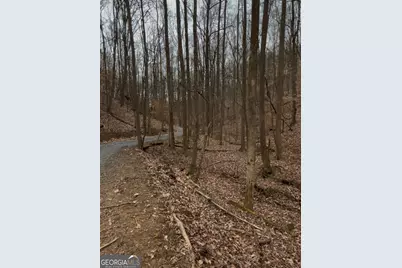 0 Sutton Road, Talking Rock, GA 30175 - Photo 12