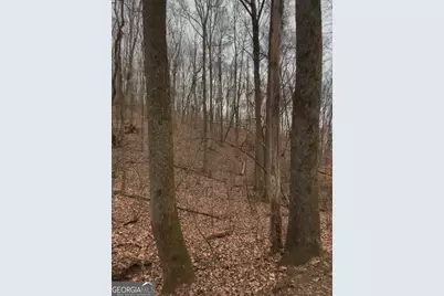 0 Sutton Road, Talking Rock, GA 30175 - Photo 4