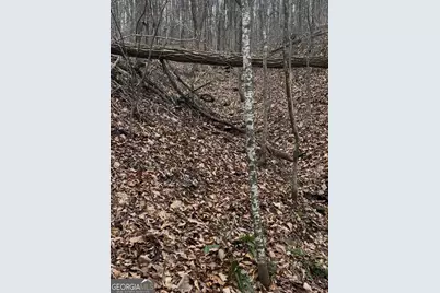 0 Sutton Road, Talking Rock, GA 30175 - Photo 6